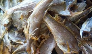 两条鱼儿穿过海一样咸的河水