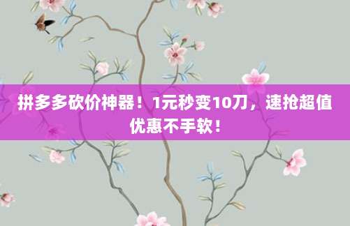 拼多多砍价神器！1元秒变10刀，速抢超值优惠不手软！