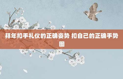 拜年扣手礼仪的正确姿势 扣自己的正确手势图