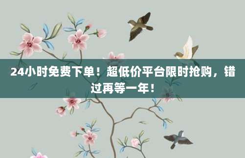 24小时免费下单！超低价平台限时抢购，错过再等一年！