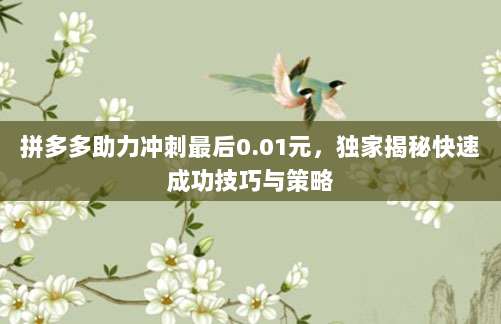 拼多多助力冲刺最后0.01元，独家揭秘快速成功技巧与策略