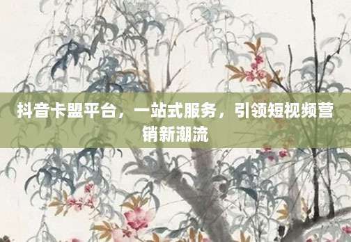 抖音卡盟平台，一站式服务，引领短视频营销新潮流