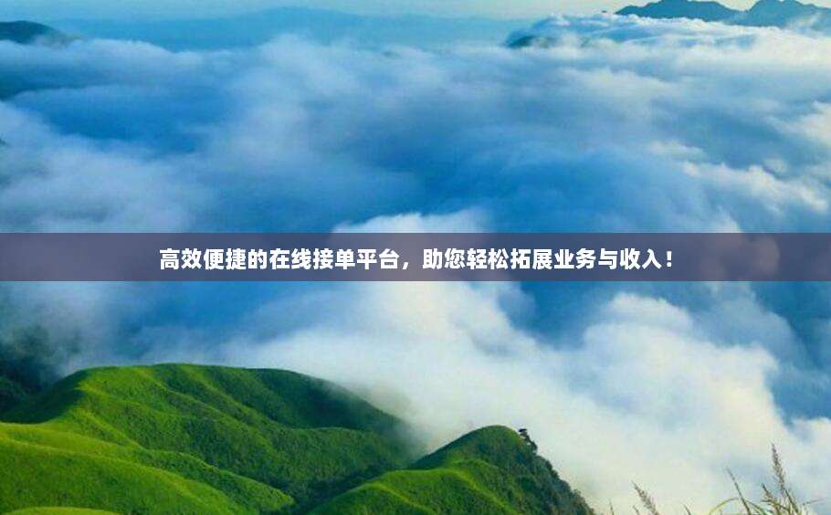 高效便捷的在线接单平台，助您轻松拓展业务与收入！