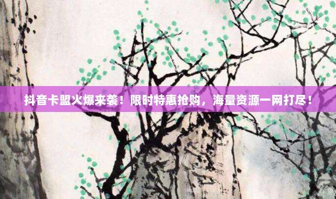 抖音卡盟火爆来袭！限时特惠抢购，海量资源一网打尽！