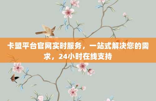 卡盟平台官网实时服务，一站式解决您的需求，24小时在线支持