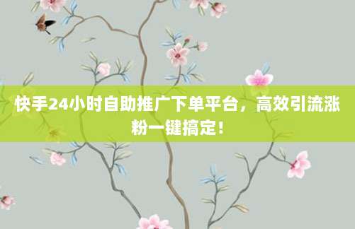 快手24小时自助推广下单平台，高效引流涨粉一键搞定！