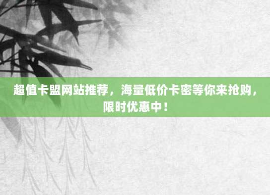 超值卡盟网站推荐，海量低价卡密等你来抢购，限时优惠中！
