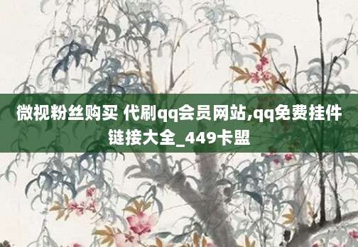 微视粉丝购买 代刷qq会员网站,qq免费挂件链接大全_449卡盟