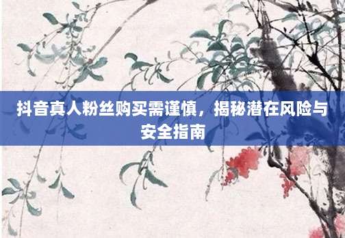 抖音真人粉丝购买需谨慎，揭秘潜在风险与安全指南