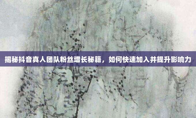 揭秘抖音真人团队粉丝增长秘籍，如何快速加入并提升影响力