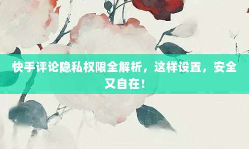 快手评论隐私权限全解析，这样设置，安全又自在！