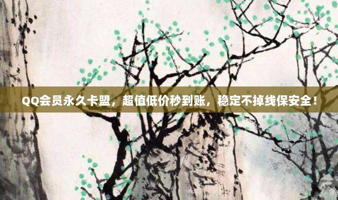 QQ会员永久卡盟，超值低价秒到账，稳定不掉线保安全！