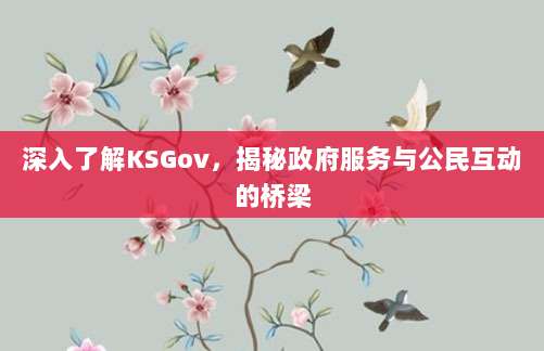 深入了解KSGov，揭秘政府服务与公民互动的桥梁