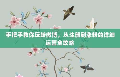 手把手教你玩转微博，从注册到涨粉的详细运营全攻略