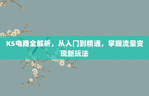 KS电商全解析，从入门到精通，掌握流量变现新玩法