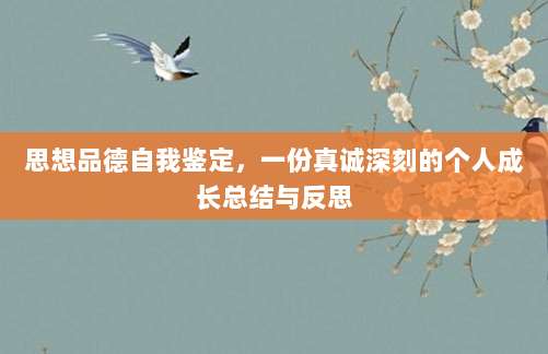 思想品德自我鉴定，一份真诚深刻的个人成长总结与反思