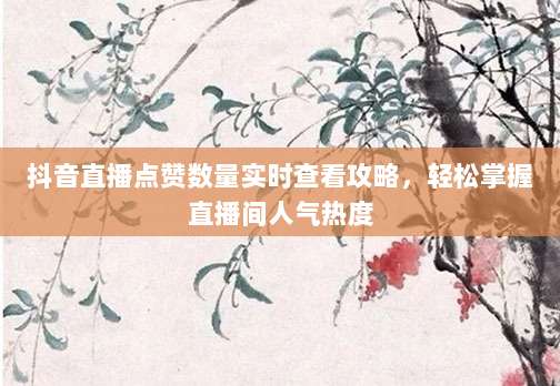 抖音直播点赞数量实时查看攻略，轻松掌握直播间人气热度