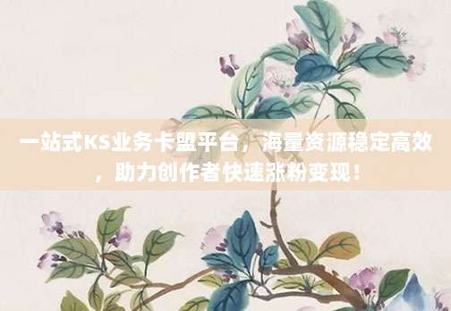 一站式KS业务卡盟平台，海量资源稳定高效，助力创作者快速涨粉变现！